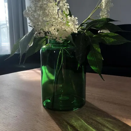 Апартаменты Wieza Krolowa *