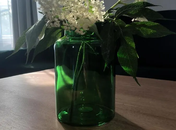 Apartment Wieza Krolowa *